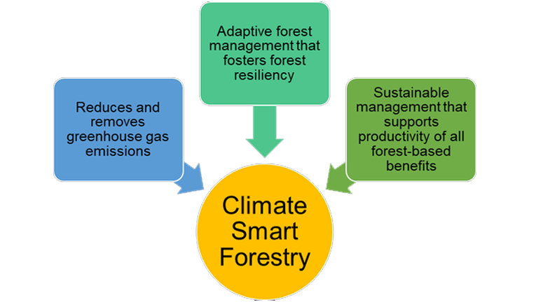 a diagram of a smart forest