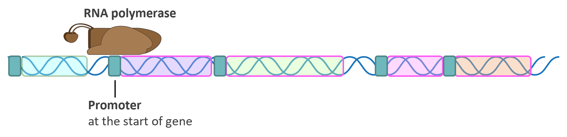 a colorful tube with spirals