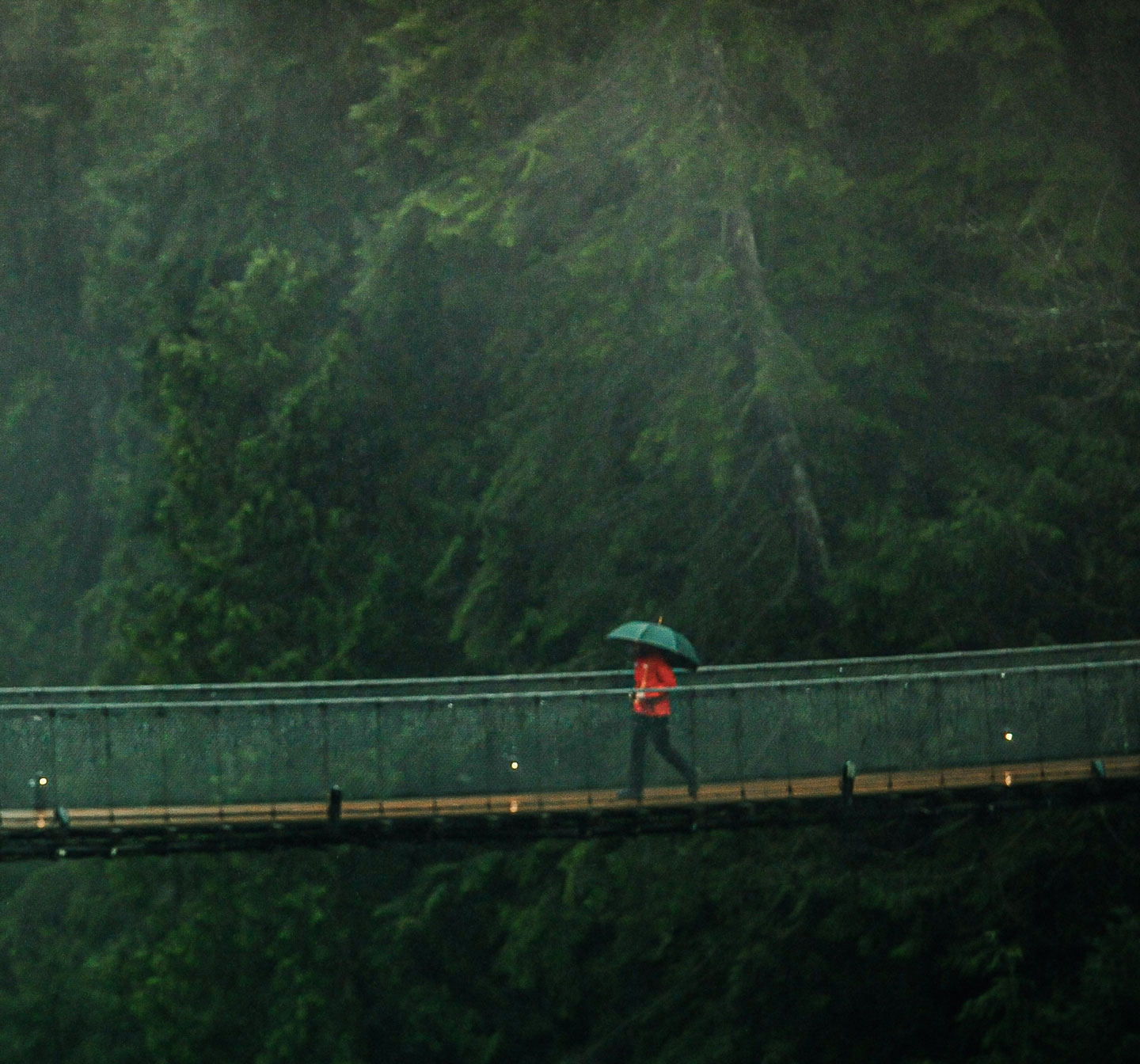 a person walking on a bridge with an umbrella