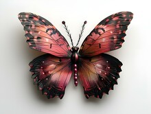 a close up of a butterfly