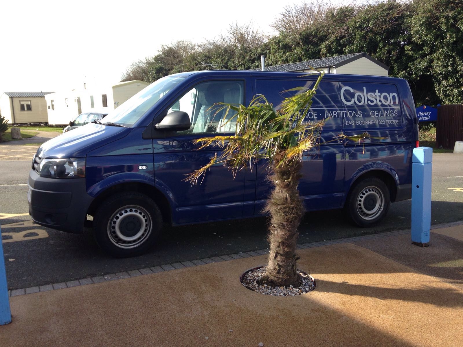 a blue van parked next to a tree