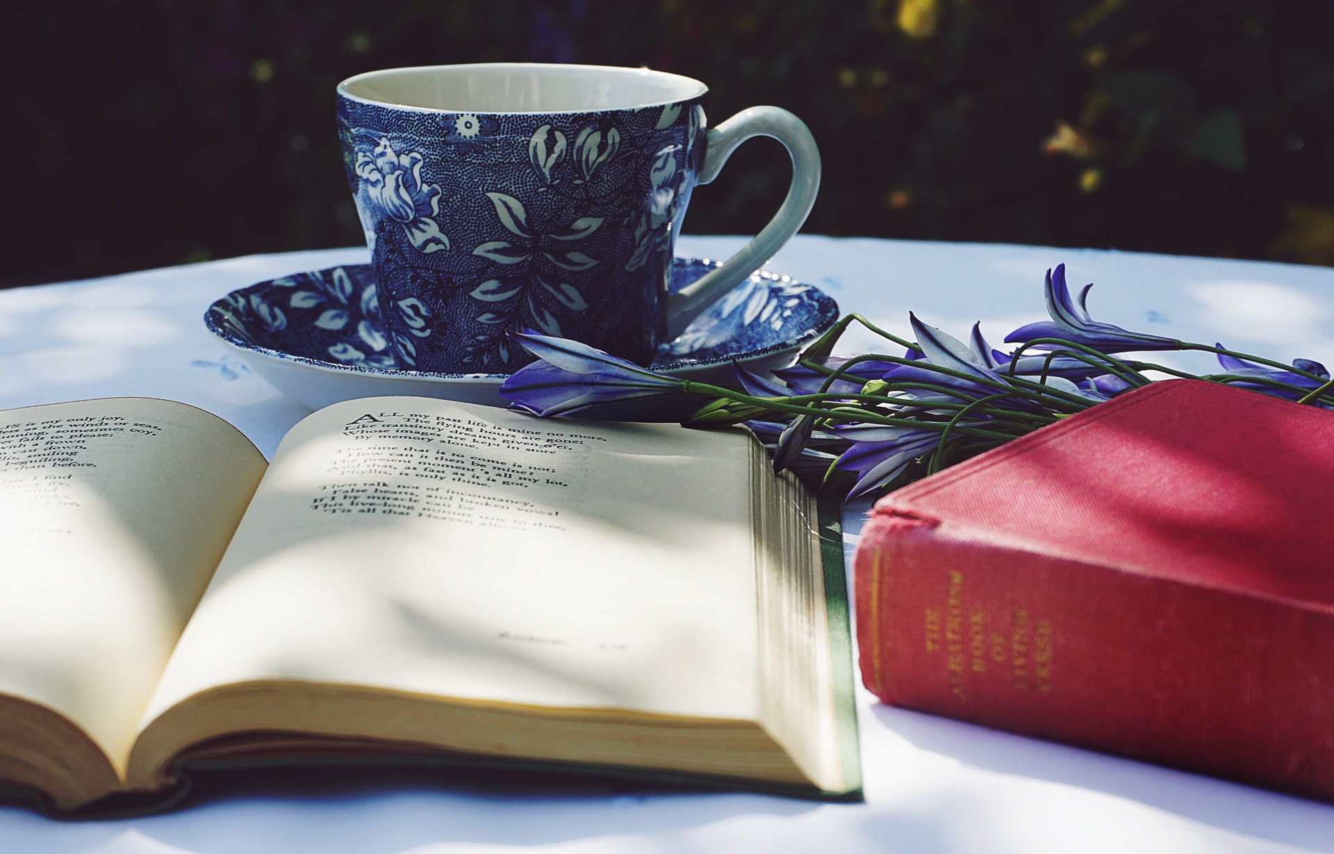 a cup and saucer next to a book