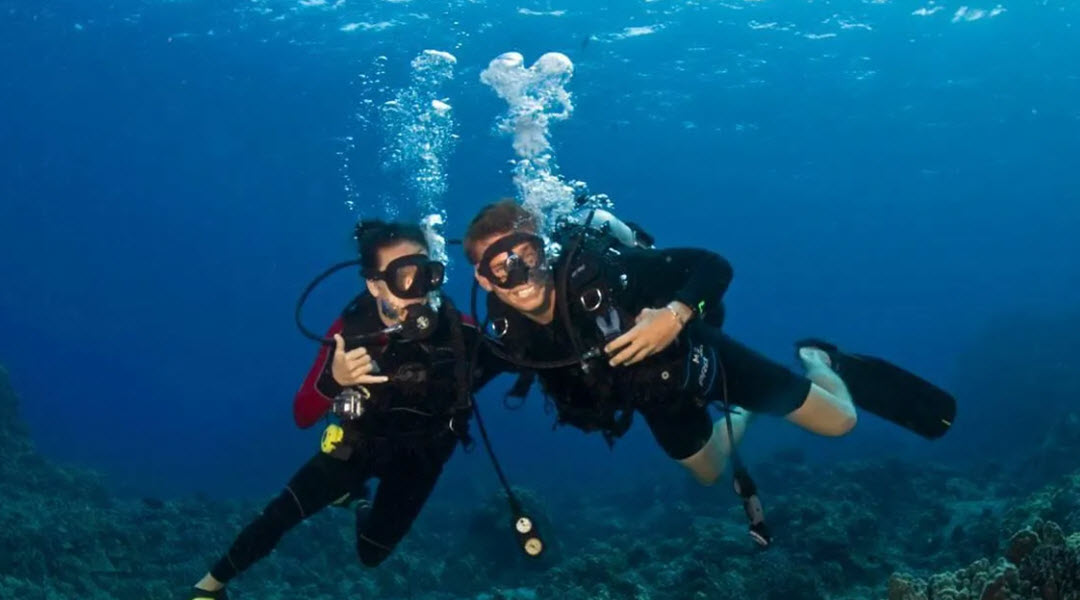 a couple of scuba divers underwater