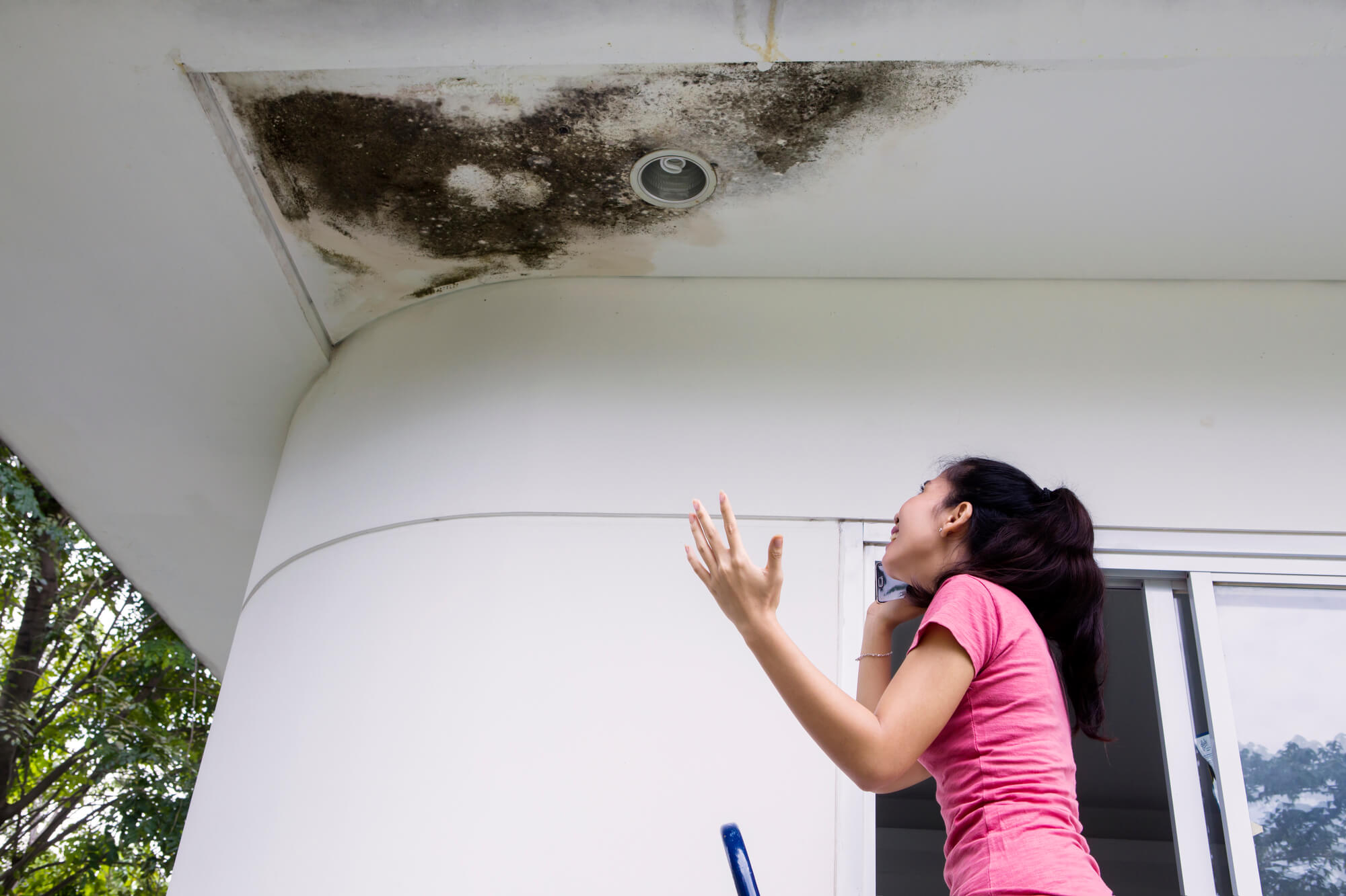 a woman looking up at a moldy ceiling