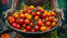 a bowl of tomatoes