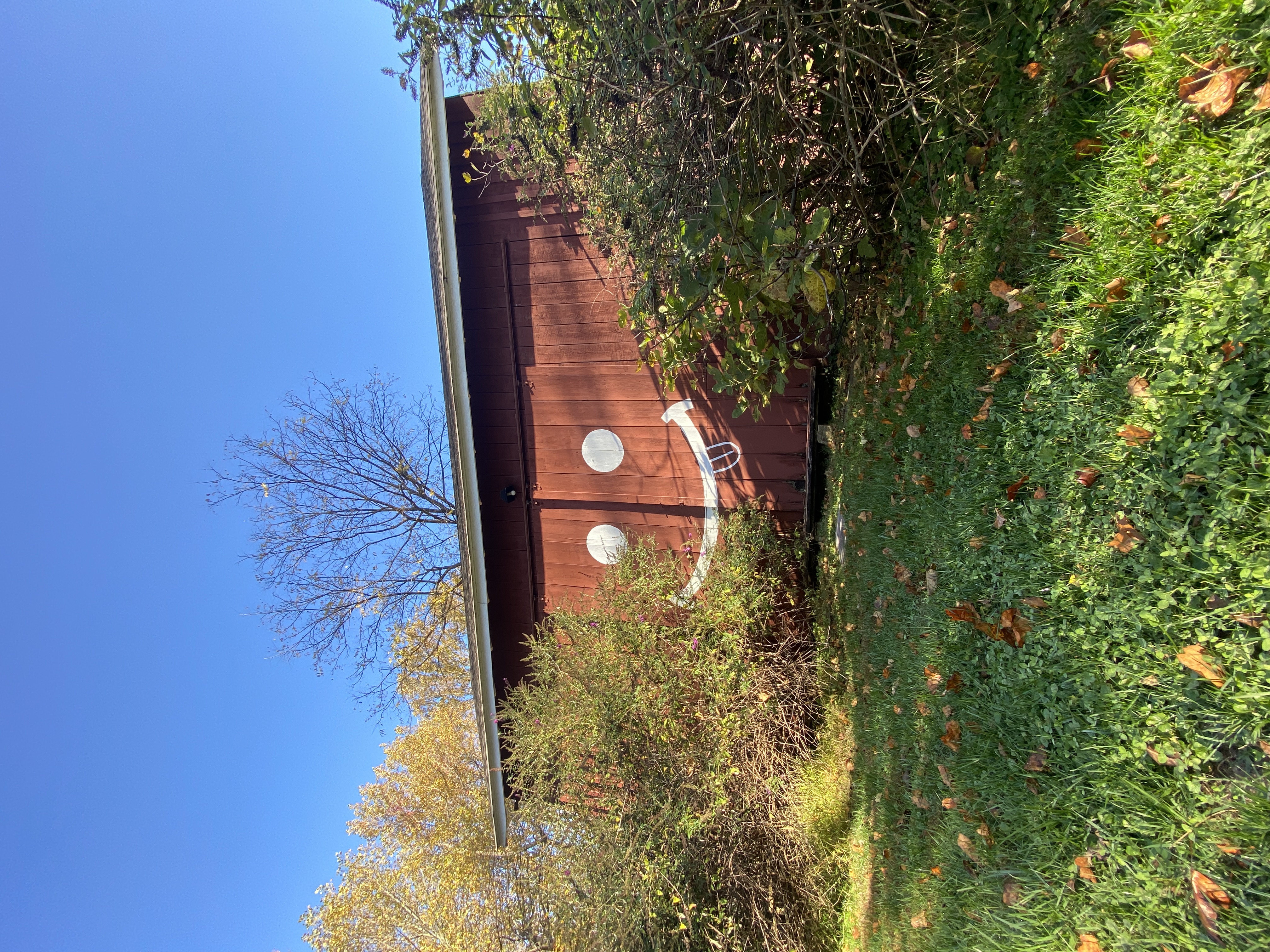 a building with a face painted on it