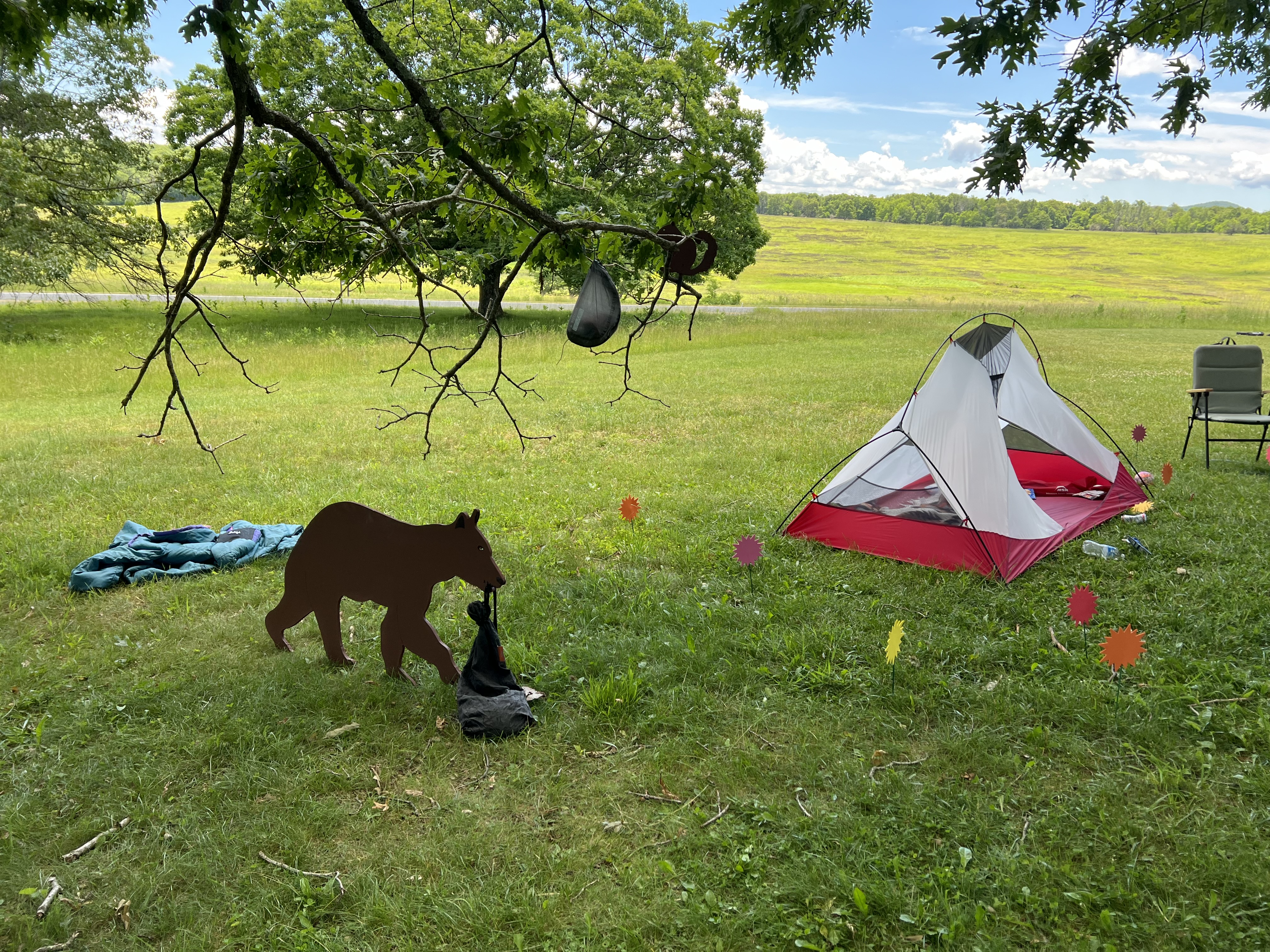 a tent and a bear cut out in the grass