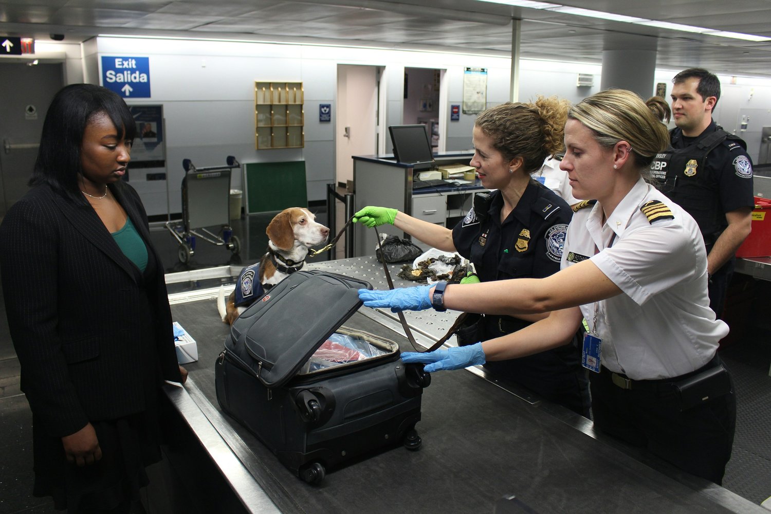 a group of women in uniform with a dog in a suitcase