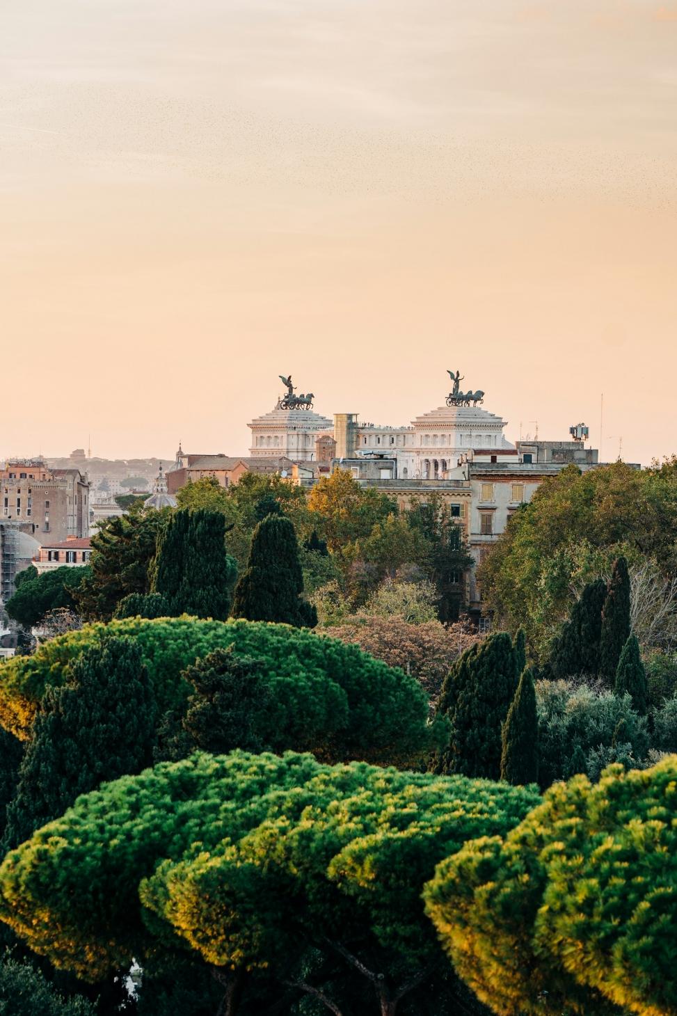 a group of trees and buildings