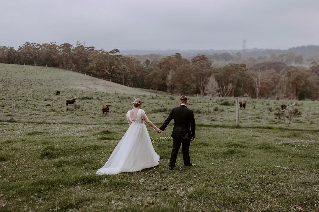a man and woman in a white dress and a suit holding hands in a field with cows