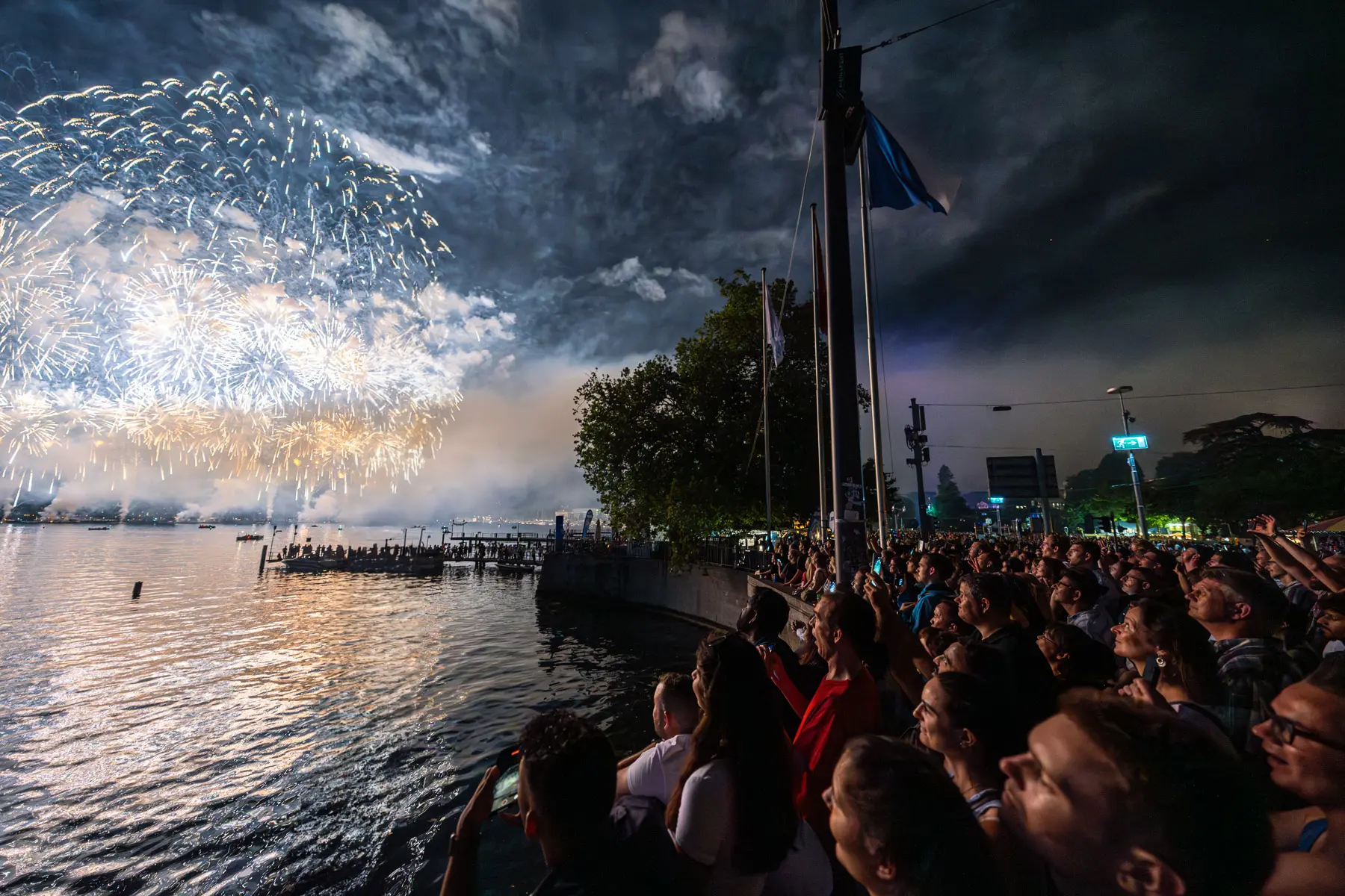a crowd of people watching fireworks over water