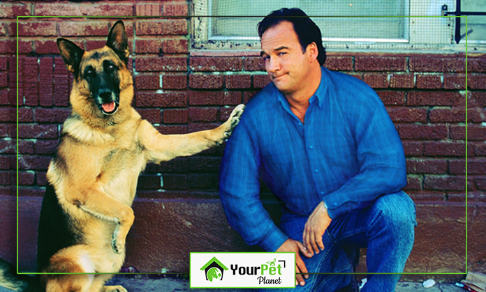 a man sitting next to a dog