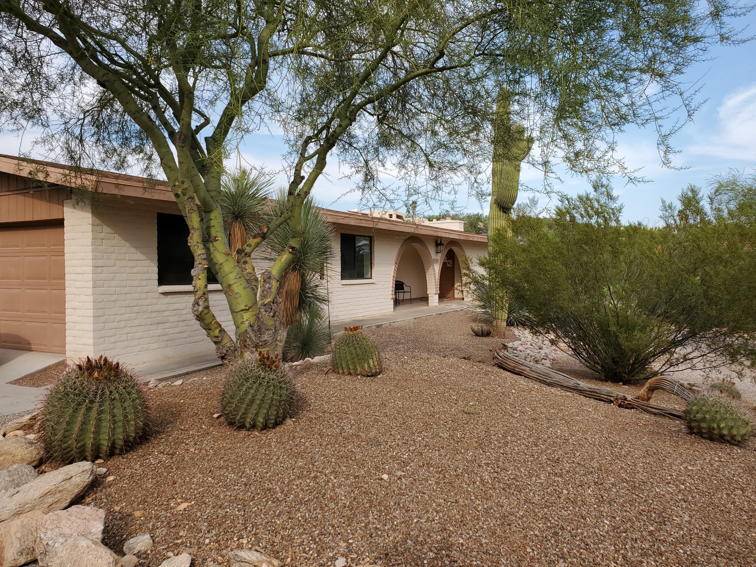 a house with cactus and trees