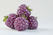 a group of purple berries