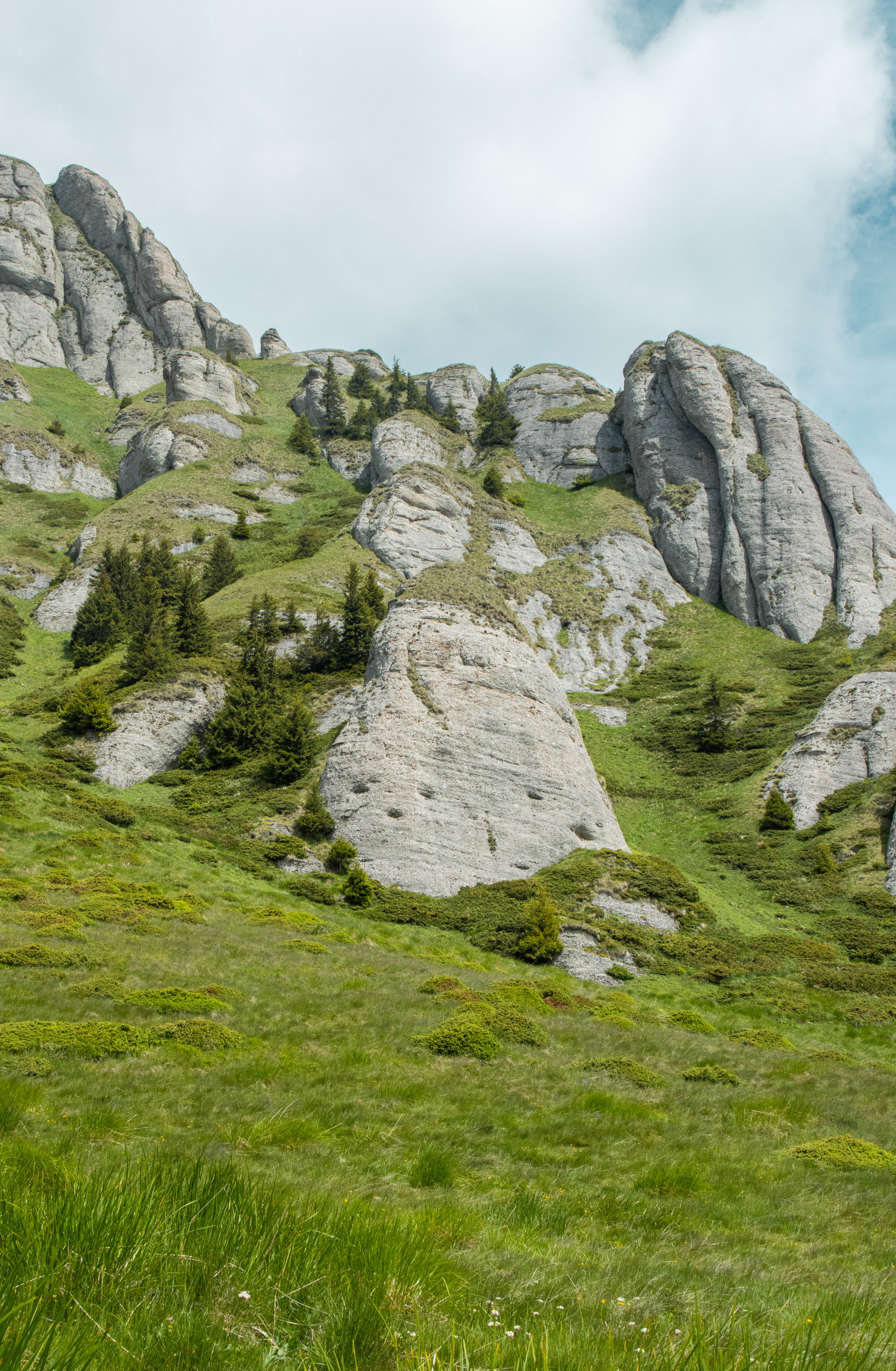 a large rock mountain with grass and trees