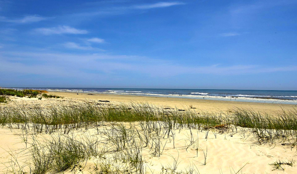 a beach with grass and water