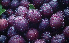 a pile of grapes with water drops