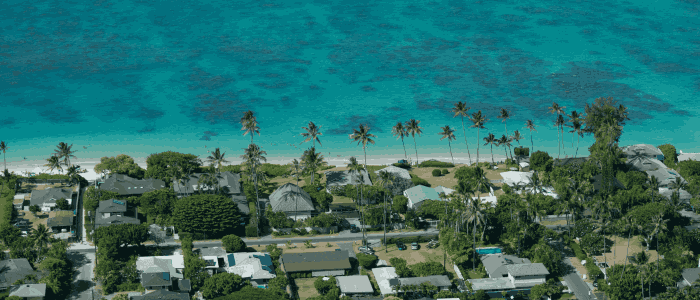 a aerial view of a beach with houses and palm trees