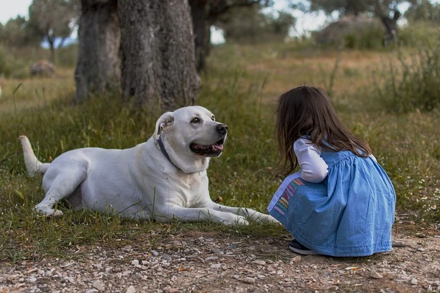 a girl sitting next to a dog