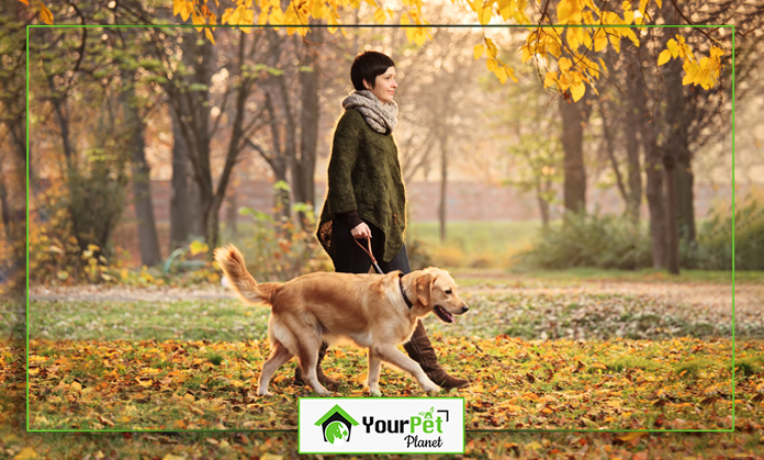 a woman walking a dog in the park