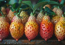 a group of colorful fruit