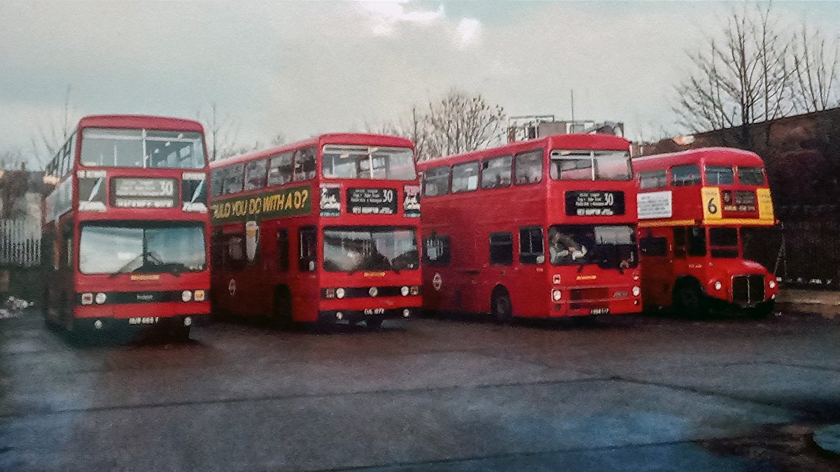 a group of red buses