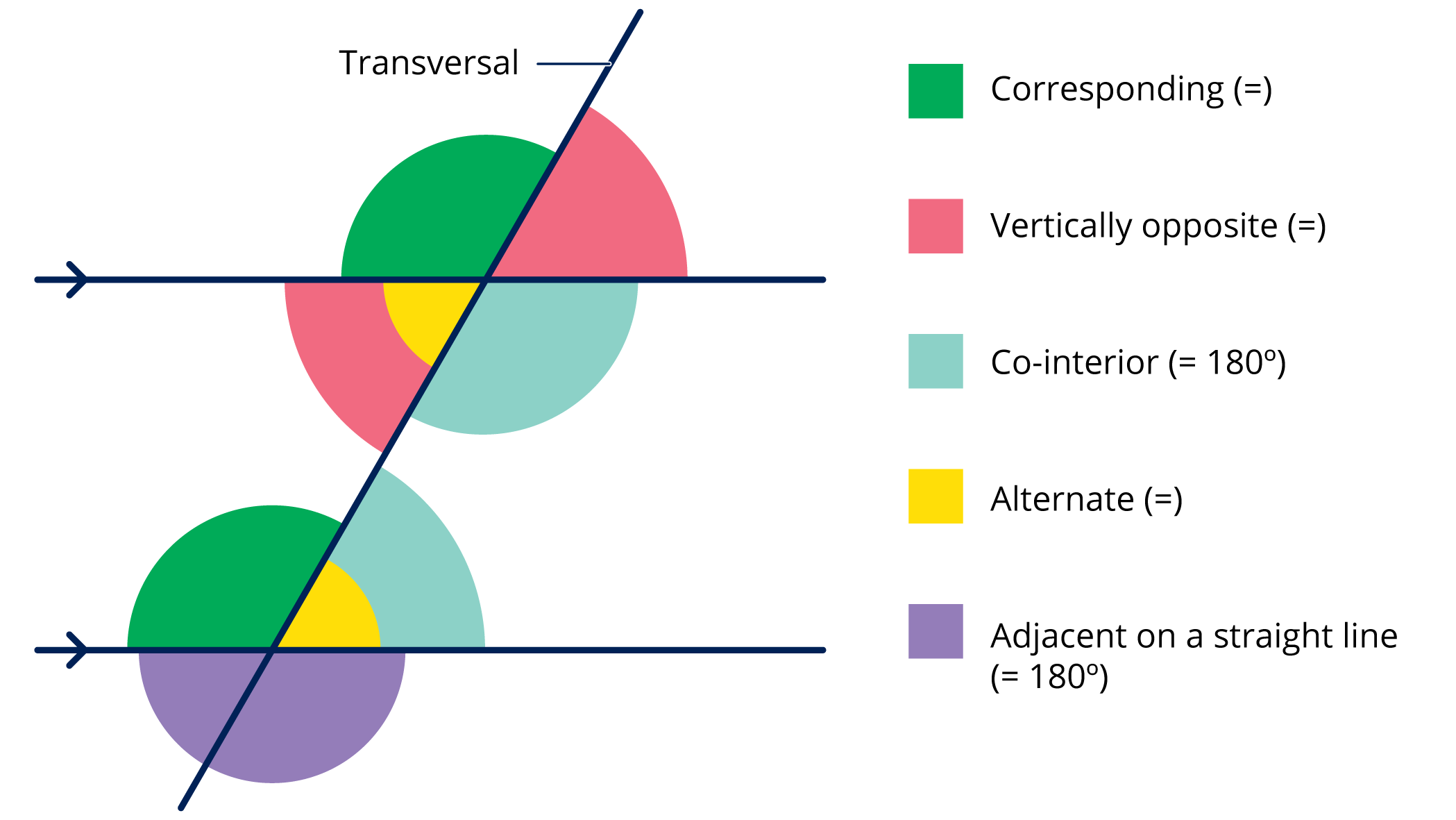 a diagram of different colored circles