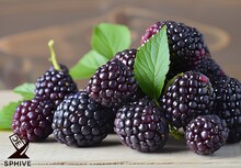 a group of blackberries with leaves