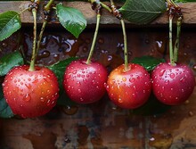 a group of cherries with water droplets on them