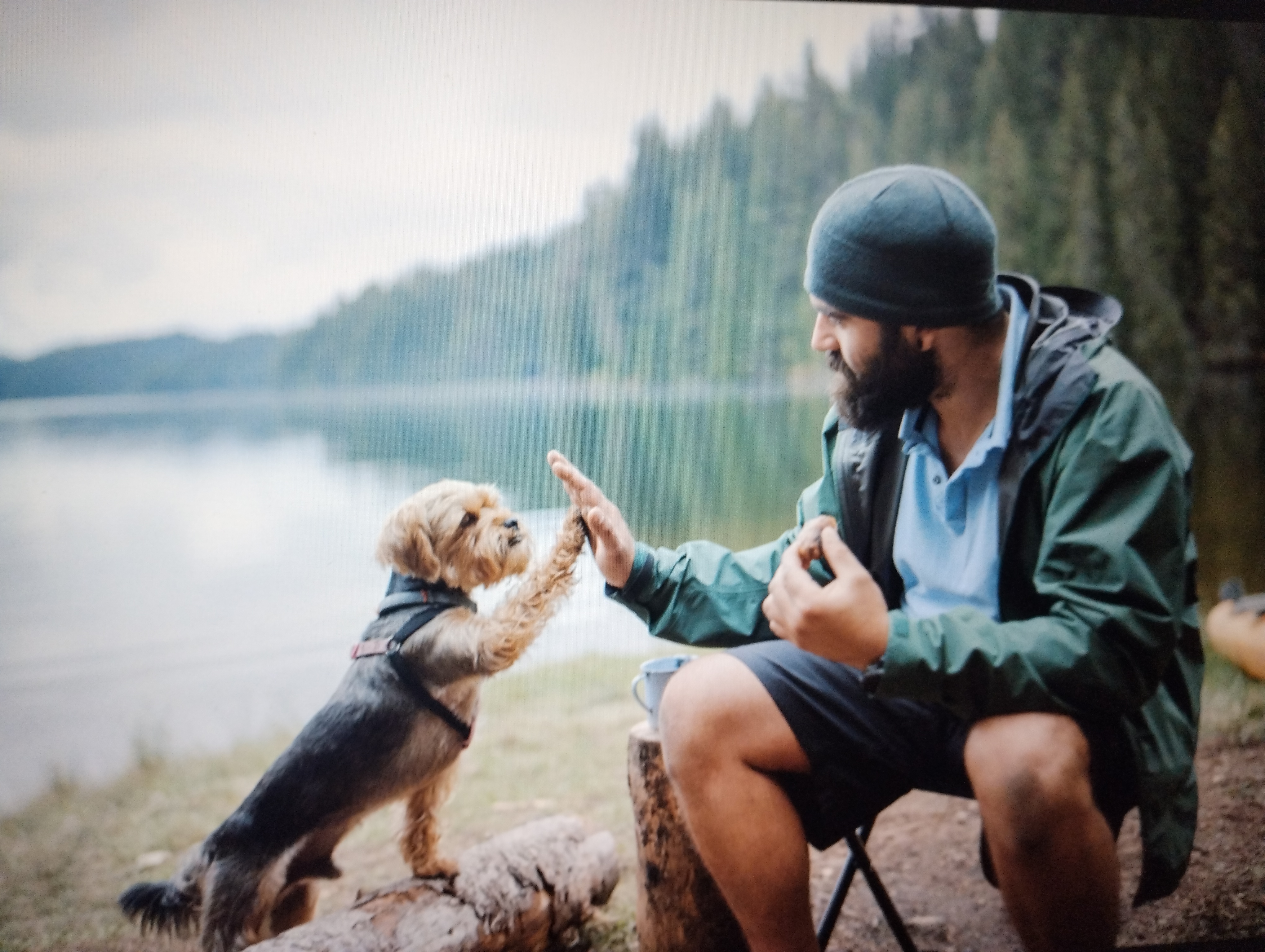 a man and dog giving high five