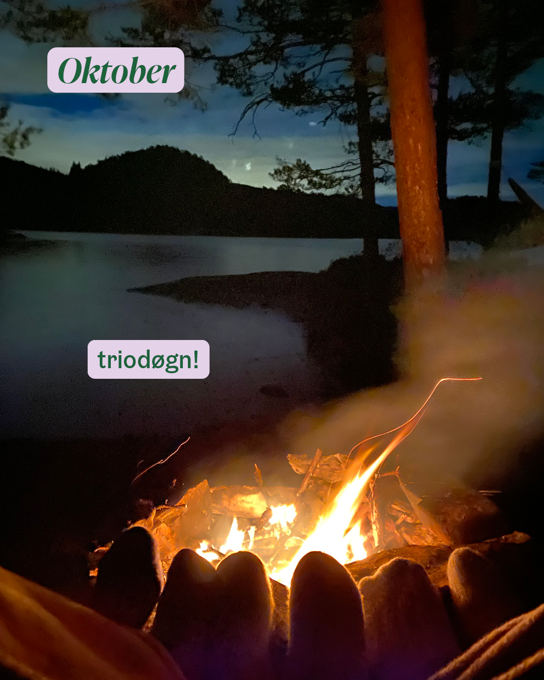 a campfire with a lake in the background