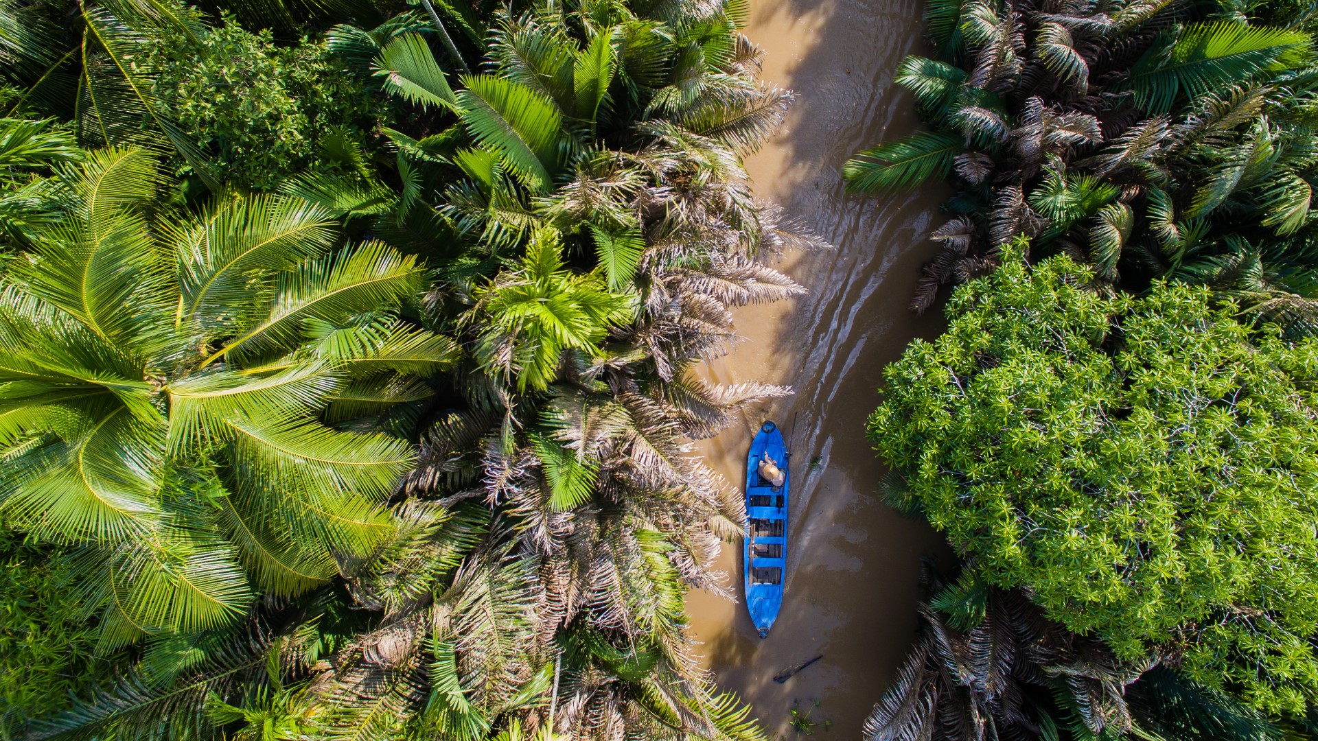 a person in a boat in a river surrounded by trees