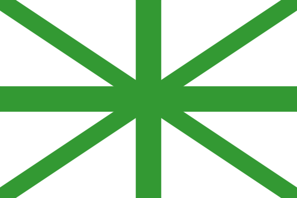 a green and white flag