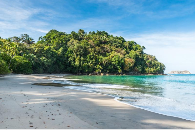 a beach with trees on the side