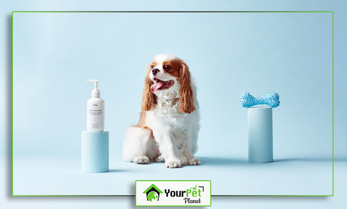 a dog sitting next to a bottle of shampoo