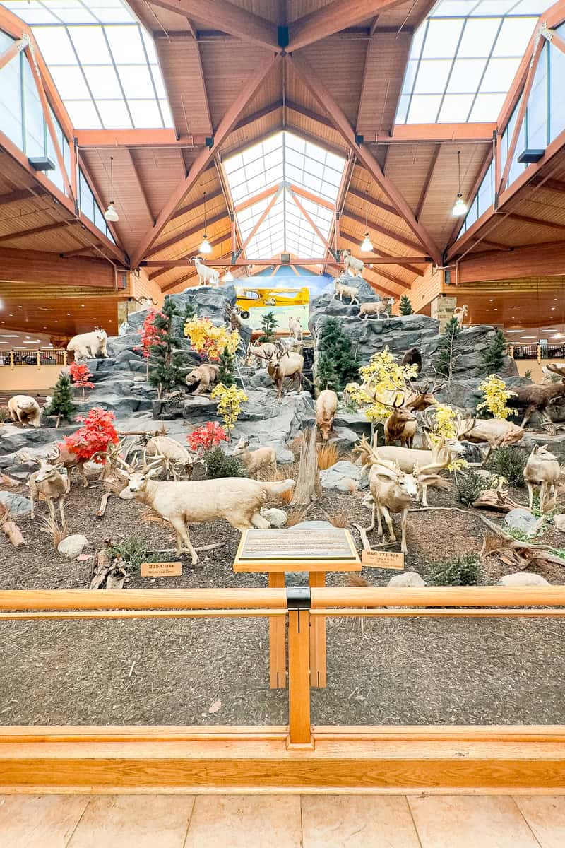 a display of animals in a mall