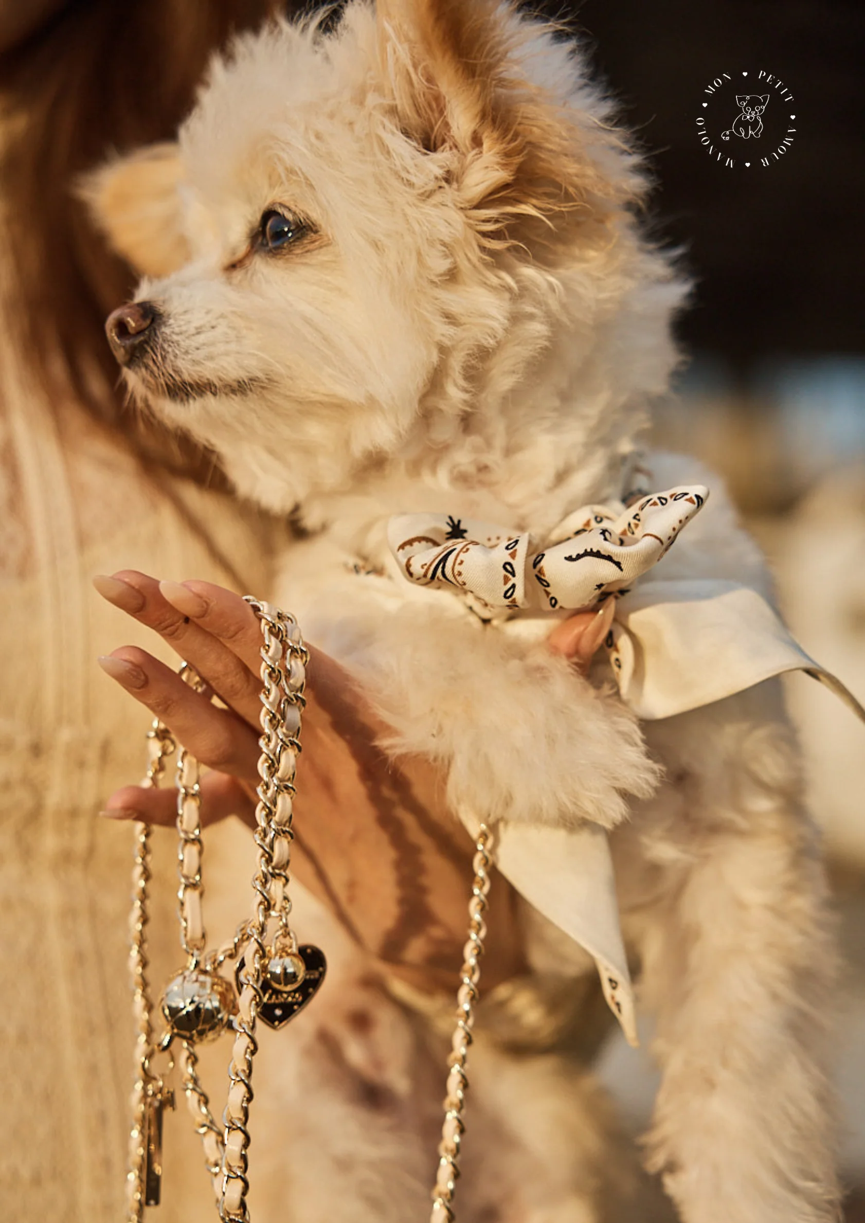 a dog holding a necklace