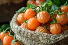 a burlap bag full of orange tomatoes