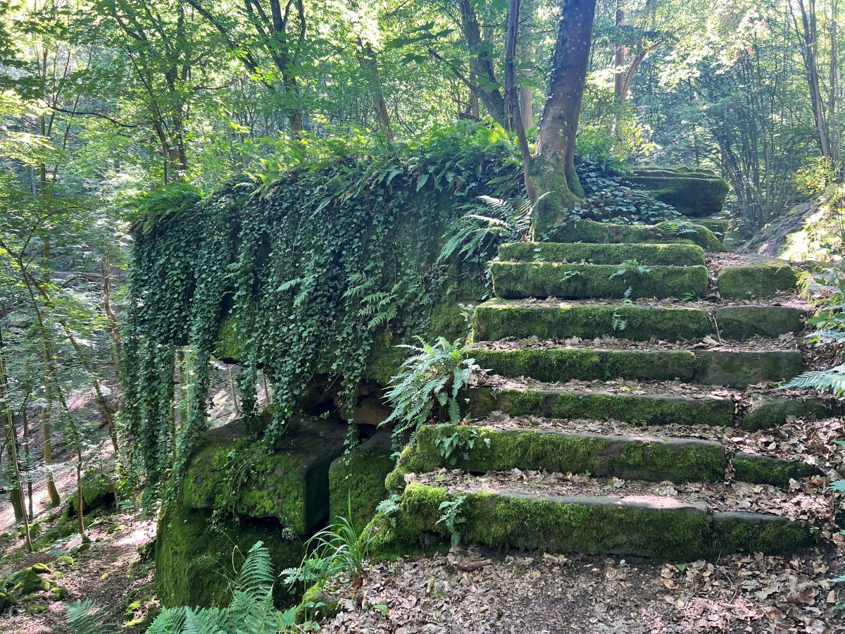 a stone steps covered in moss
