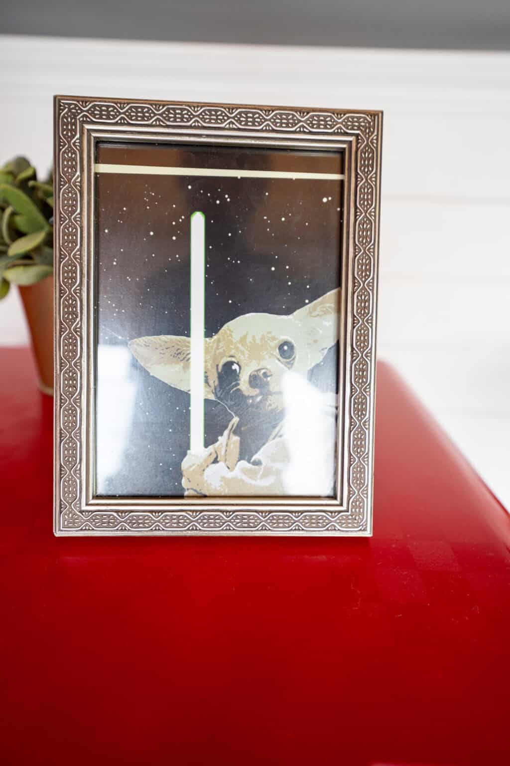 a picture of a dog on a red surface