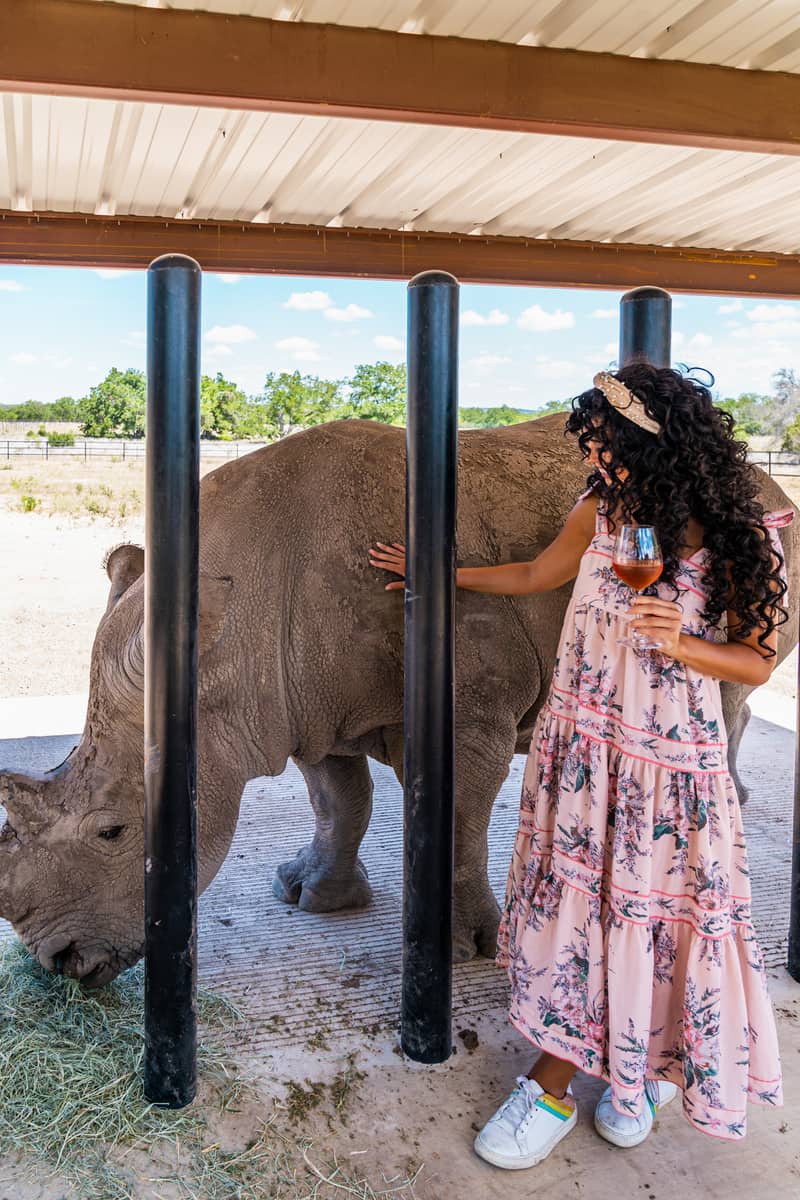 a woman standing next to a rhino