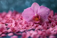 a pink flower on a pile of petals