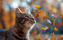 a cat looking up at leaves