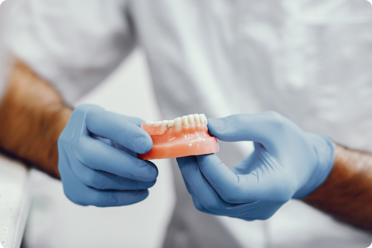 a person holding a model of teeth