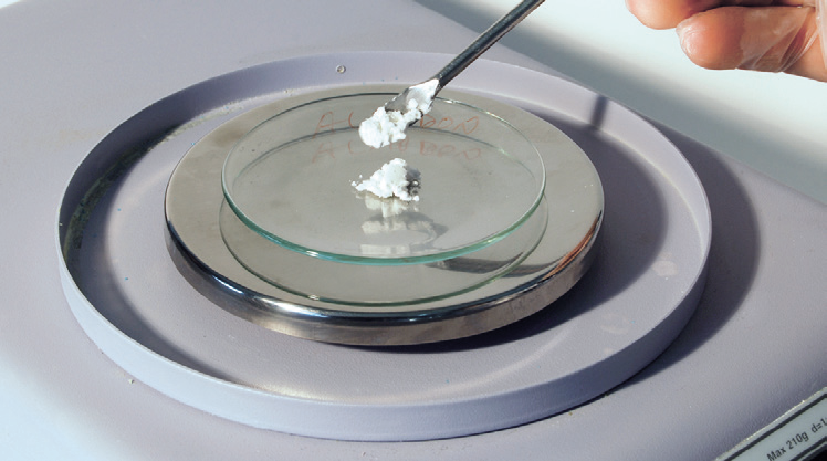 a close-up of a white substance on a petri dish