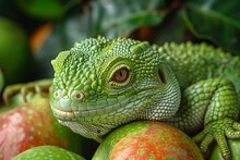 a green lizard on a fruit