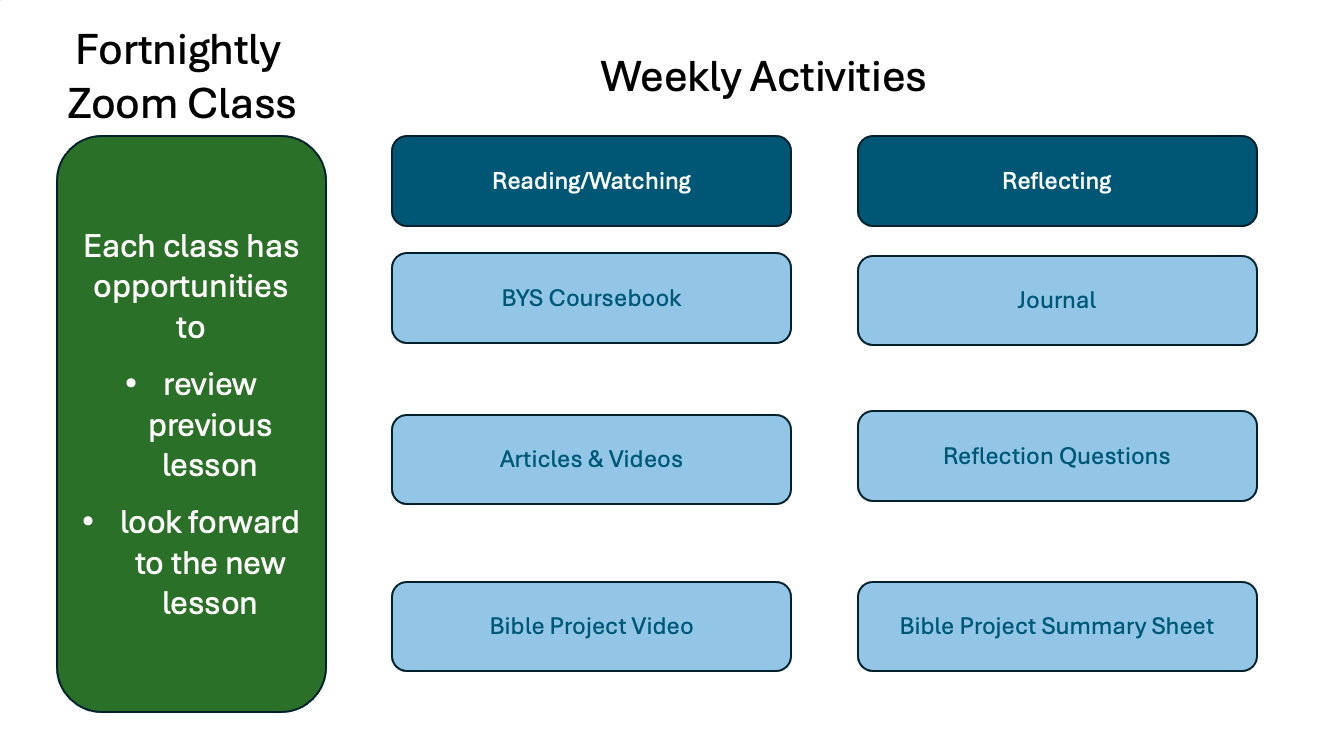 a chart of a weekly activity