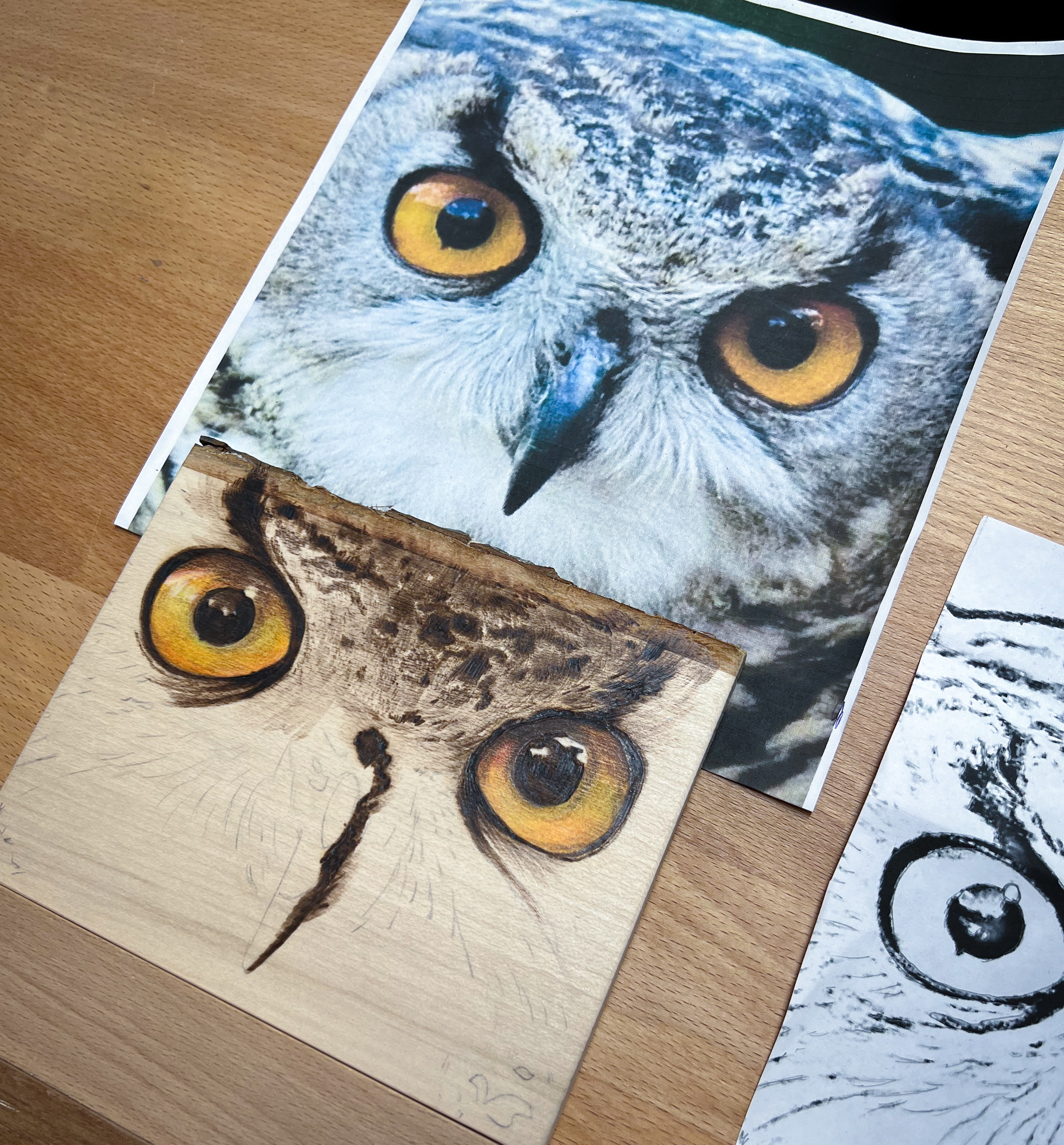 a group of pictures of an owl