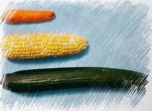 corn cobs and a cucumber