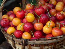 a basket of cherries